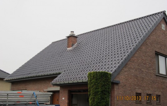 resized_DHooghe 11.10.2013 006
